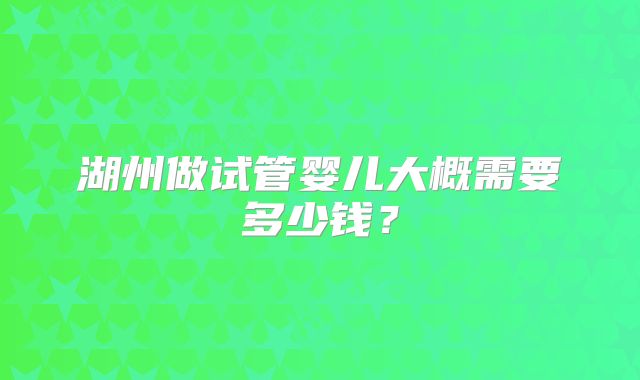 湖州做试管婴儿大概需要多少钱？