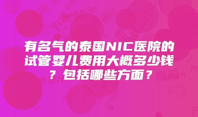 有名气的泰国NIC医院的试管婴儿费用大概多少钱?包括哪些方面?