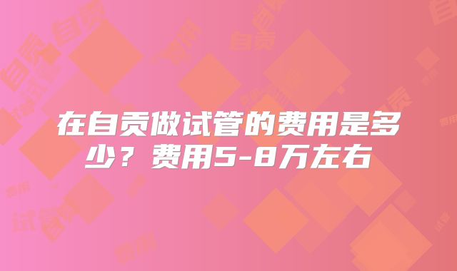 在自贡做试管的费用是多少？费用5-8万左右