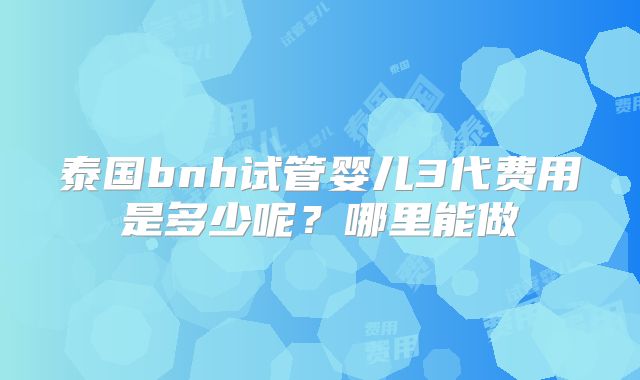 泰国bnh试管婴儿3代费用是多少呢?哪里能做