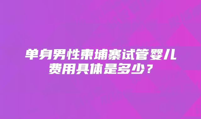 单身男性柬埔寨试管婴儿费用具体是多少？