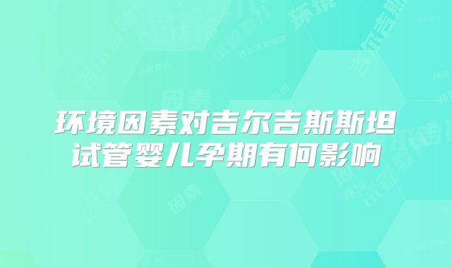 环境因素对吉尔吉斯斯坦试管婴儿孕期有何影响