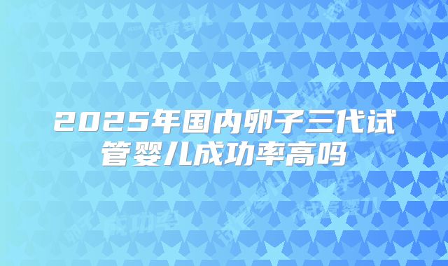 2025年国内卵子三代试管婴儿成功率高吗