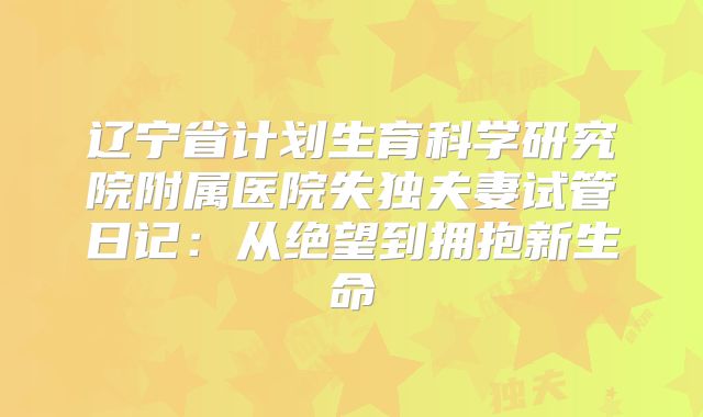 辽宁省计划生育科学研究院附属医院失独夫妻试管日记：从绝望到拥抱新生命