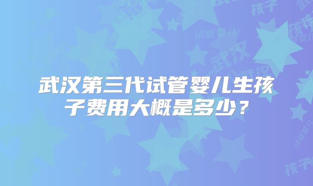 武汉第三代试管婴儿生孩子费用大概是多少？