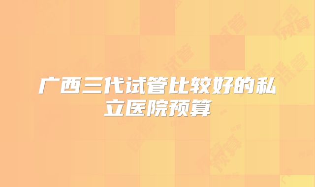 广西三代试管比较好的私立医院预算