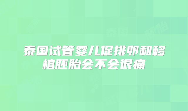 泰国试管婴儿促排卵和移植胚胎会不会很痛