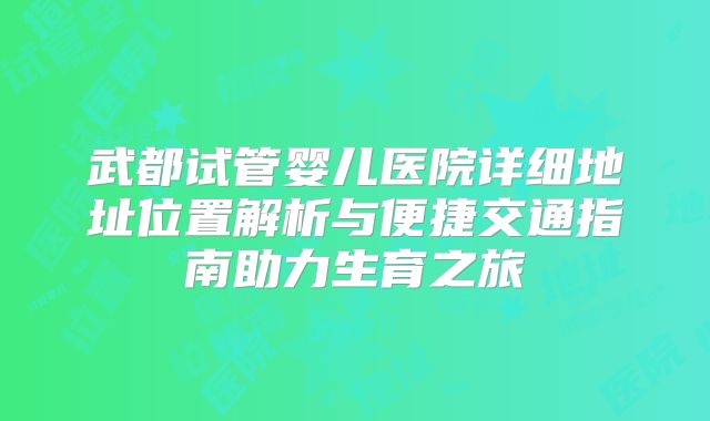 武都试管婴儿医院详细地址位置解析与便捷交通指南助力生育之旅