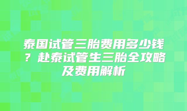 泰国试管三胎费用多少钱？赴泰试管生三胎全攻略及费用解析