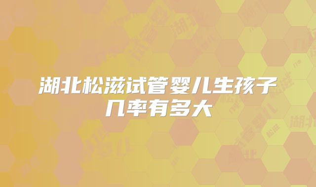 湖北松滋试管婴儿生孩子几率有多大