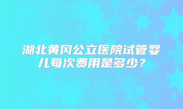湖北黄冈公立医院试管婴儿每次费用是多少?