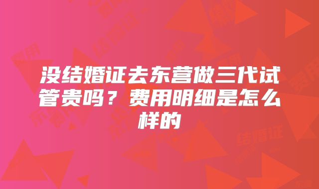 没结婚证去东营做三代试管贵吗？费用明细是怎么样的