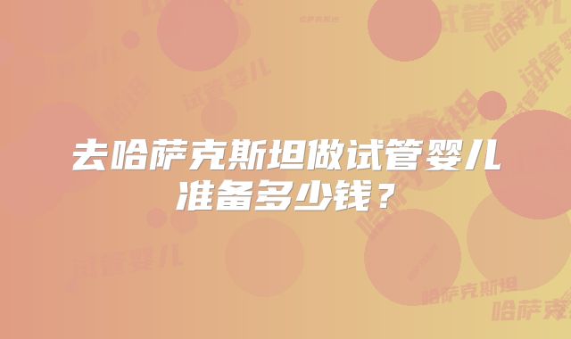 去哈萨克斯坦做试管婴儿准备多少钱？
