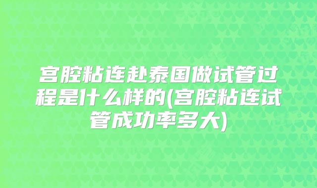 宫腔粘连赴泰国做试管过程是什么样的(宫腔粘连试管成功率多大)