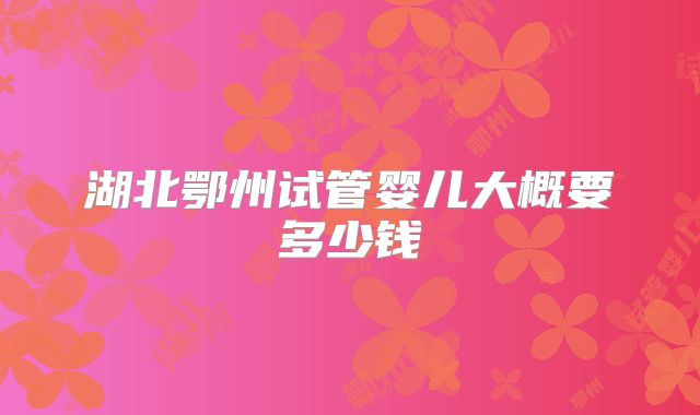 湖北鄂州试管婴儿大概要多少钱