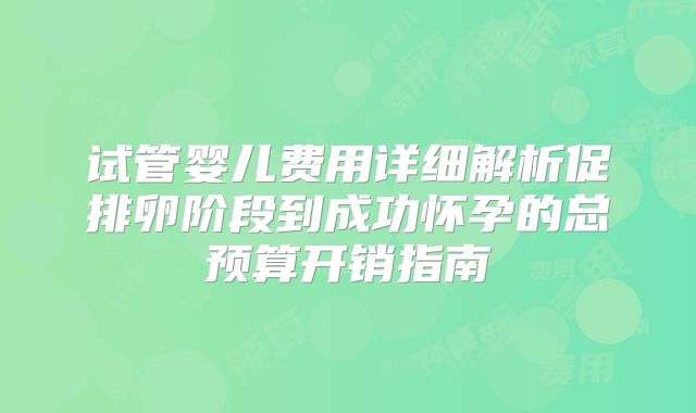 试管婴儿费用详细解析促排卵阶段到成功怀孕的总预算开销指南