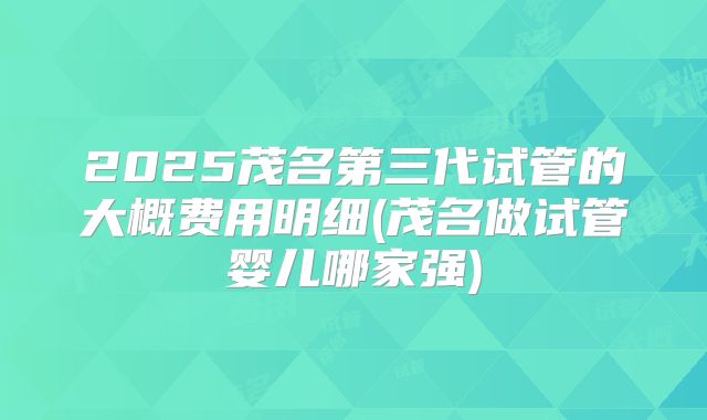 2025茂名第三代试管的大概费用明细(茂名做试管婴儿哪家强)