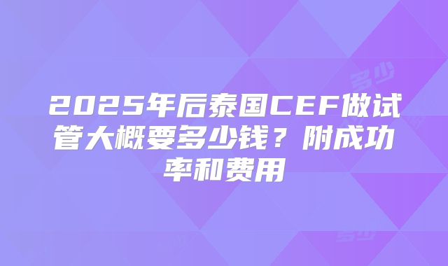 2025年后泰国CEF做试管大概要多少钱?附成功率和费用