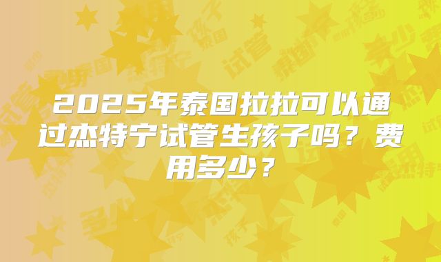 2025年泰国拉拉可以通过杰特宁试管生孩子吗？费用多少？