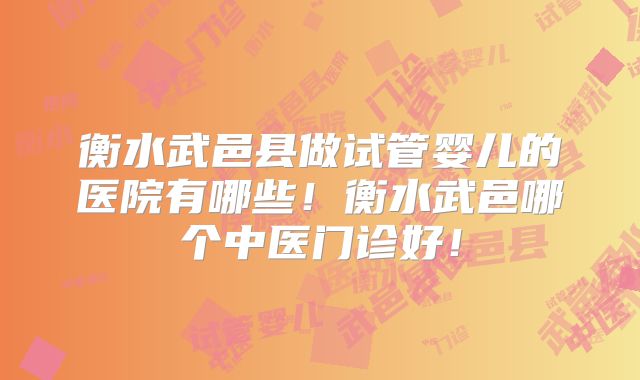 衡水武邑县做试管婴儿的医院有哪些!衡水武邑哪个中医门诊好!