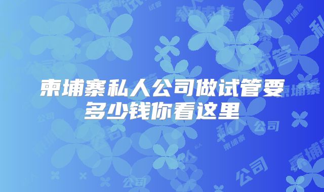 柬埔寨私人公司做试管要多少钱你看这里