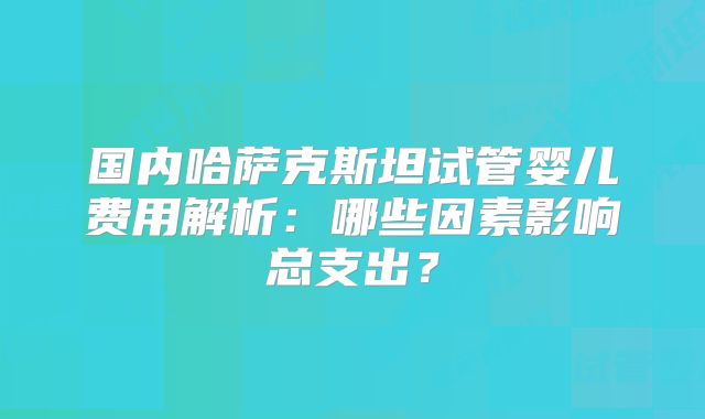 国内哈萨克斯坦试管婴儿费用解析:哪些因素影响总支出?