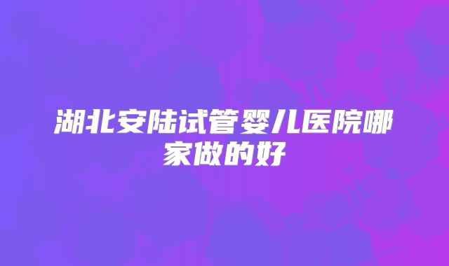 湖北安陆试管婴儿医院哪家做的好