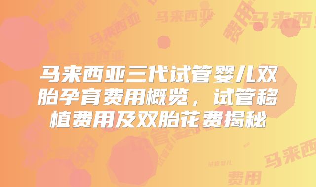 马来西亚三代试管婴儿双胎孕育费用概览,试管移植费用及双胎花费揭秘