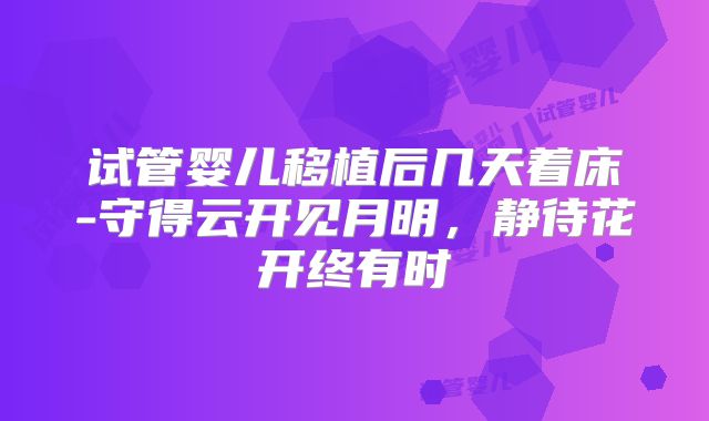 试管婴儿移植后几天着床-守得云开见月明,静待花开终有时