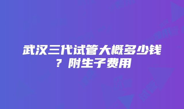 武汉三代试管大概多少钱？附生子费用