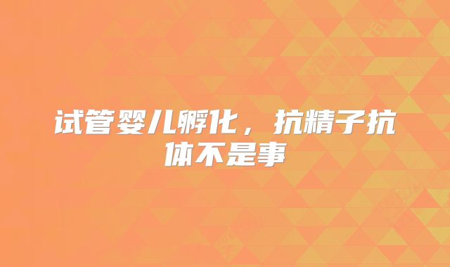 试管婴儿孵化，抗精子抗体不是事