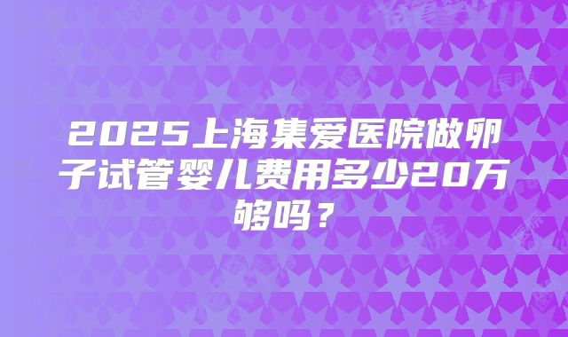 2025上海集爱医院做卵子试管婴儿费用多少20万够吗?