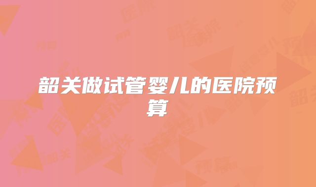 韶关做试管婴儿的医院预算