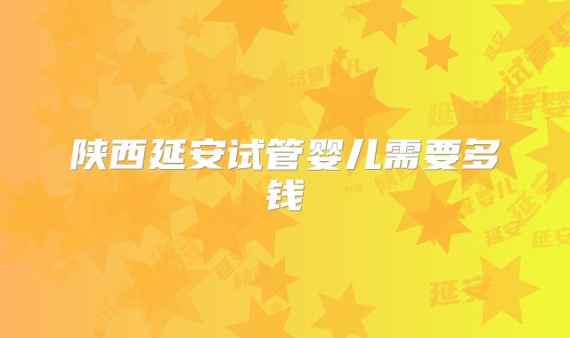 陕西延安试管婴儿需要多钱