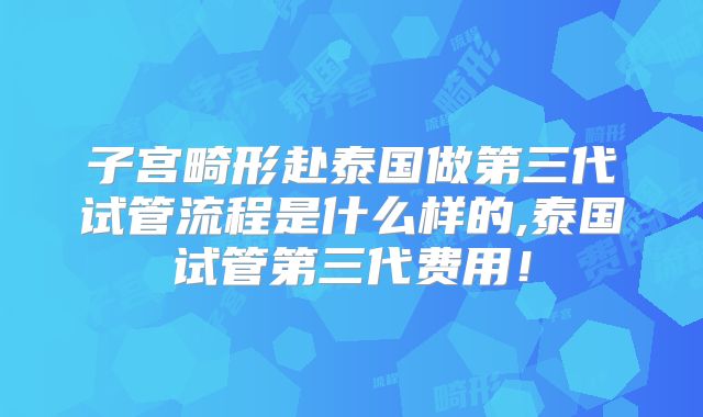 子宫畸形赴泰国做第三代试管流程是什么样的,泰国试管第三代费用!
