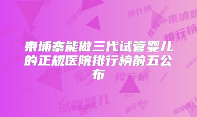 柬埔寨能做三代试管婴儿的正规医院排行榜前五公布