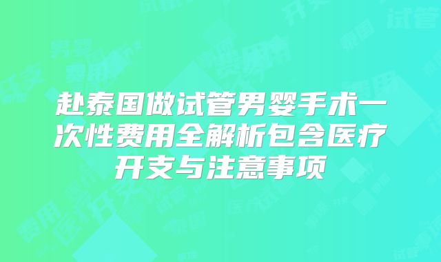 赴泰国做试管男婴手术一次性费用全解析包含医疗开支与注意事项
