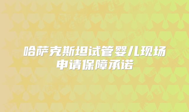 哈萨克斯坦试管婴儿现场申请保障承诺