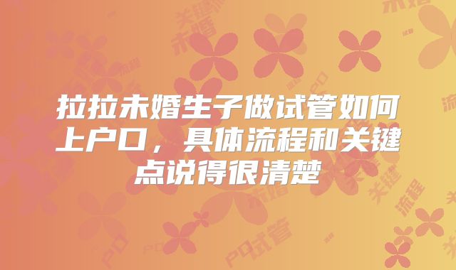 拉拉未婚生子做试管如何上户口，具体流程和关键点说得很清楚