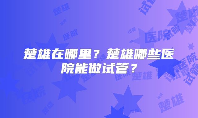 楚雄在哪里?楚雄哪些医院能做试管?