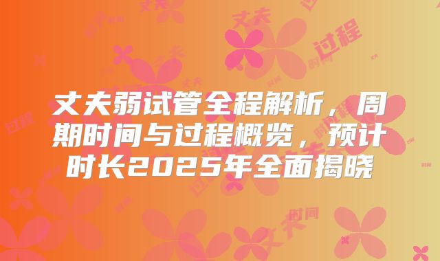 丈夫弱试管全程解析，周期时间与过程概览，预计时长2025年全面揭晓