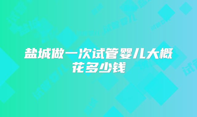 盐城做一次试管婴儿大概花多少钱