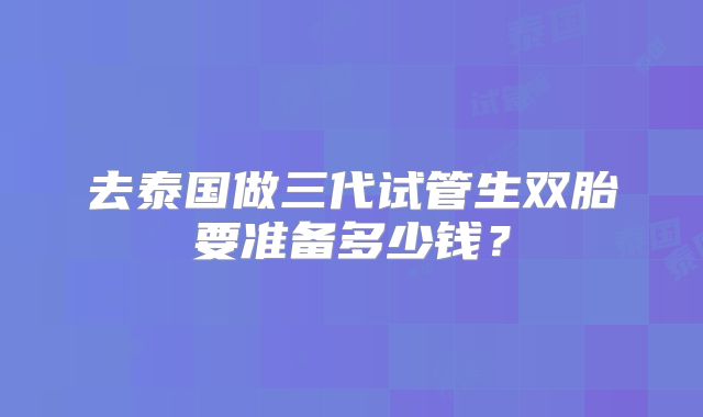去泰国做三代试管生双胎要准备多少钱？