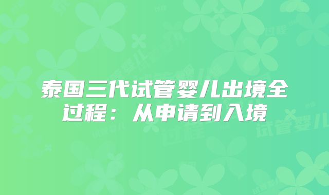 泰国三代试管婴儿出境全过程:从申请到入境