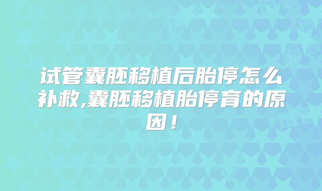 试管囊胚移植后胎停怎么补救,囊胚移植胎停育的原因！