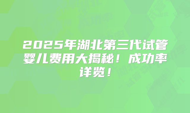 2025年湖北第三代试管婴儿费用大揭秘!成功率详览!
