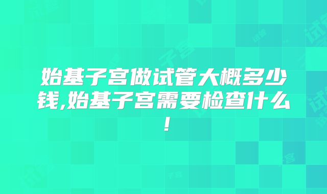 始基子宫做试管大概多少钱,始基子宫需要检查什么!