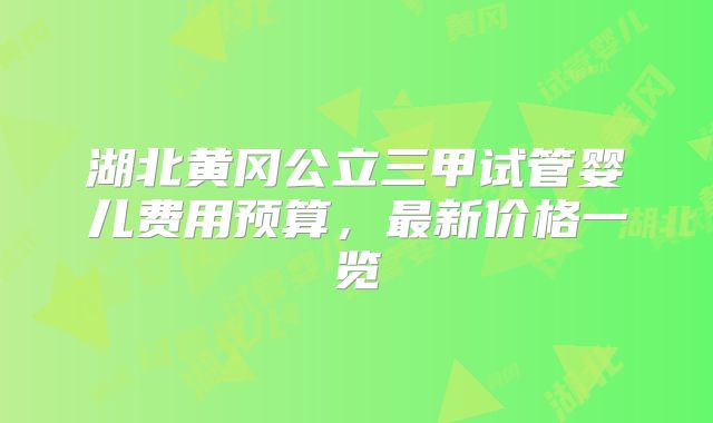 湖北黄冈公立三甲试管婴儿费用预算,最新价格一览