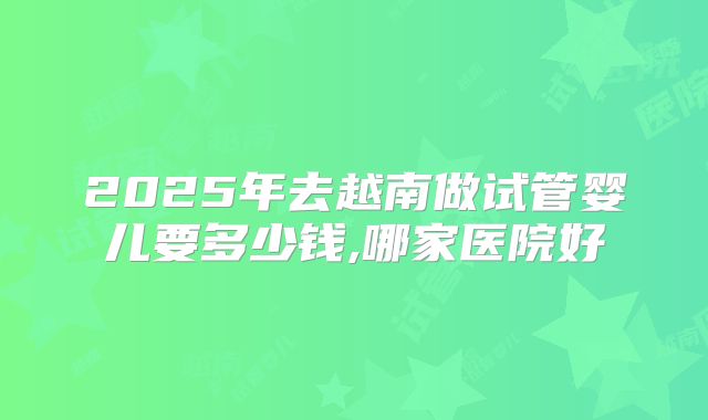 2025年去越南做试管婴儿要多少钱,哪家医院好