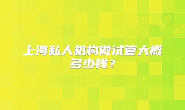 上海私人机构做试管大概多少钱？